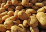 Pommes de Terres pommes de terres